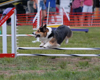 DSC_0180.JPG