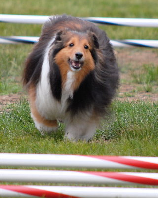 DSC_0192.JPG