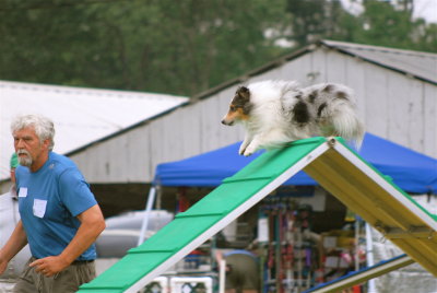 DSC_0200.JPG