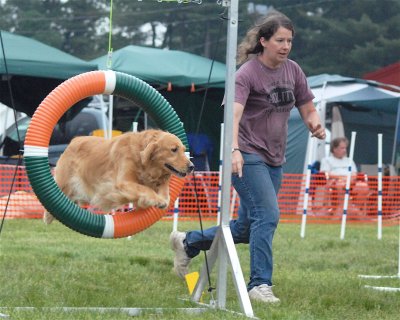 DSC_0275.JPG