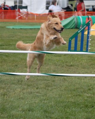 DSC_0338.JPG