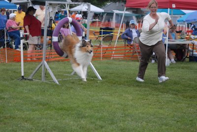 DSC_0352.JPG