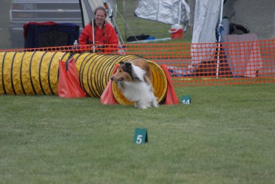 DSC_0358.JPG