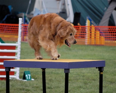 DSC_0347.JPG