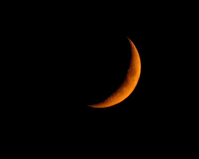 DSC_0426_2.JPG