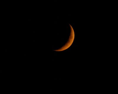 DSC_0426.JPG