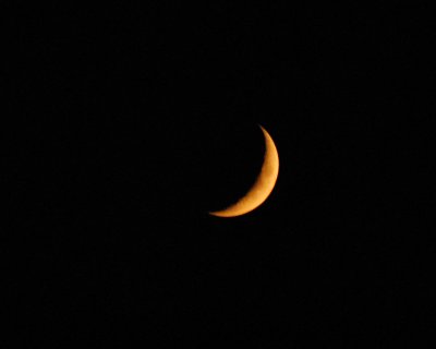 DSC_0428.JPG