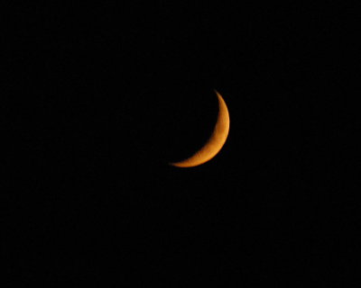 DSC_0432.JPG