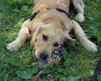 DSC_0455.JPG