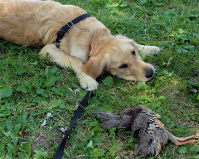 DSC_0457.JPG