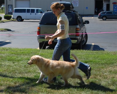 DSC_0464.JPG