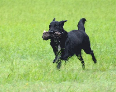 DSC_0468.JPG