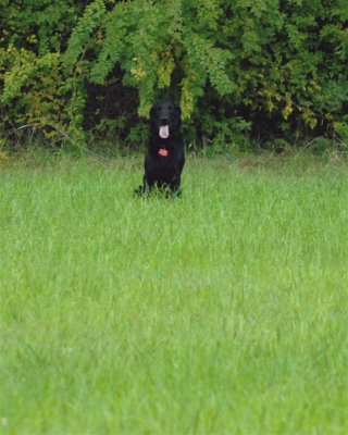 DSC_0479.JPG