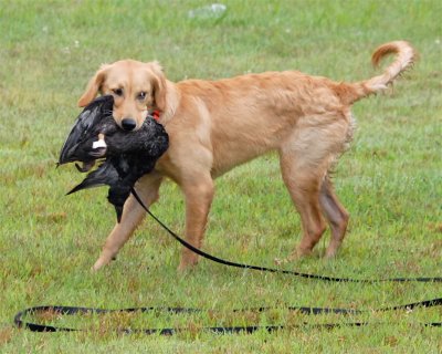 DSC_0510.JPG