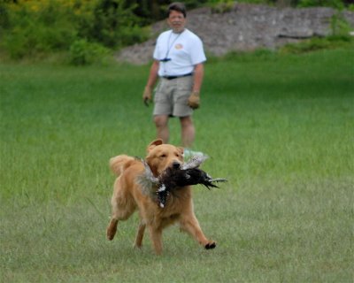 DSC_0531.JPG