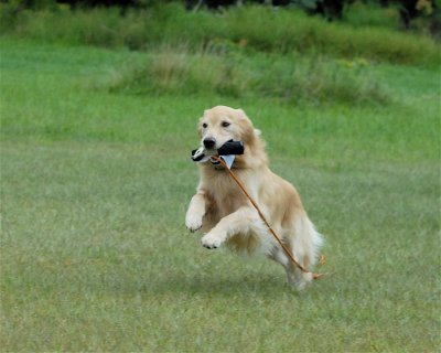 DSC_0557.JPG