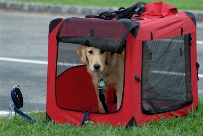 DSC_0569.JPG