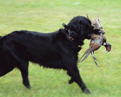 DSC_0580.JPG