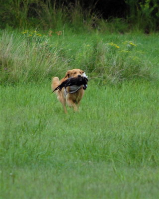 DSC_0588.JPG
