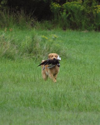 DSC_0589.JPG