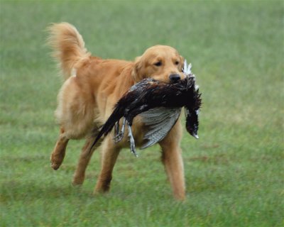 DSC_0593.JPG