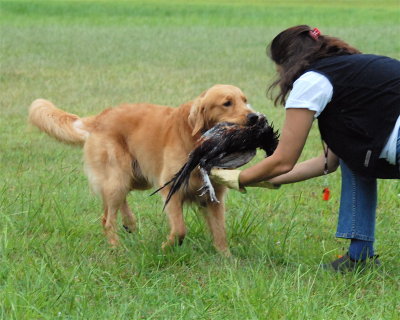 DSC_0596.JPG
