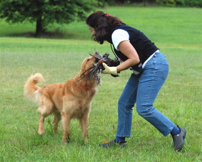 DSC_0598.JPG