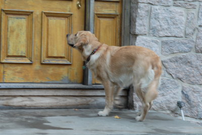 DSC_0797.JPG