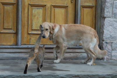 DSC_0798.JPG