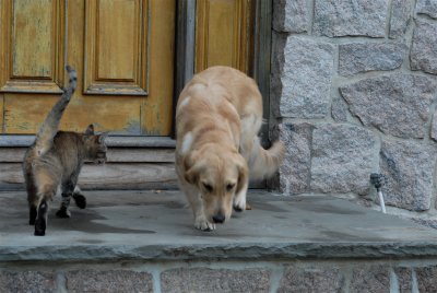 DSC_0799.JPG