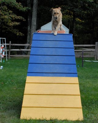 DSC_0812.JPG