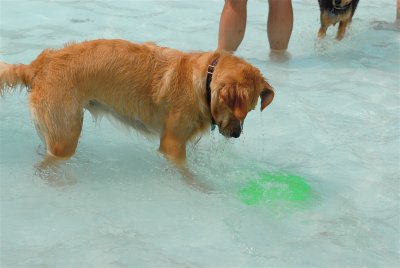 DSC_0475.JPG
