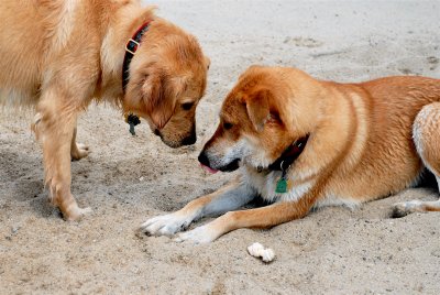 DSC_0609.JPG