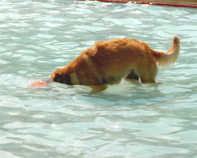 DSC_0620.JPG