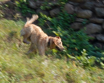 DSC_0565.JPG