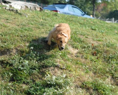 DSC_0585.JPG