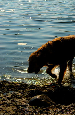 DSC_0616.JPG