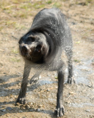 DSC_0643.JPG