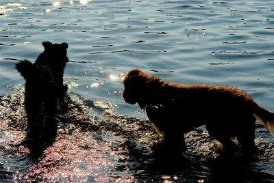 DSC_0646.JPG