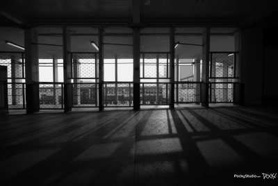Star Ferry Memory - 007
