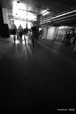 Star Ferry Memory - 010