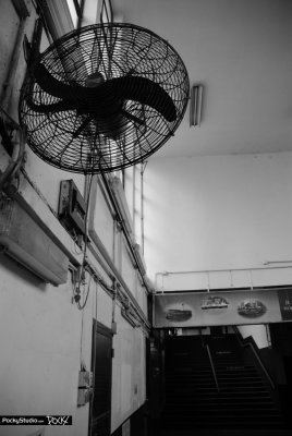 Star Ferry Memory - 019