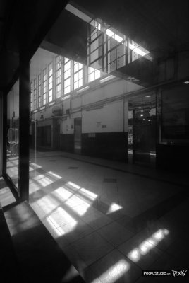 Star Ferry Memory - 024