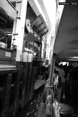 Star Ferry Memory - 036