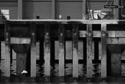 Star Ferry Memory - 039