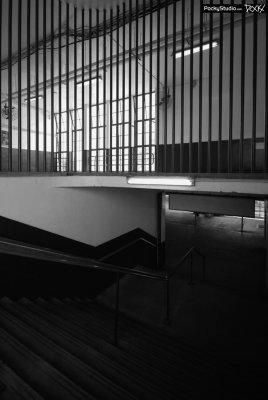 Star Ferry Memory - 043