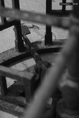 Star Ferry Memory - 073