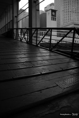 Star Ferry Memory - 077