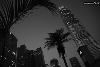 Star Ferry Memory - 090