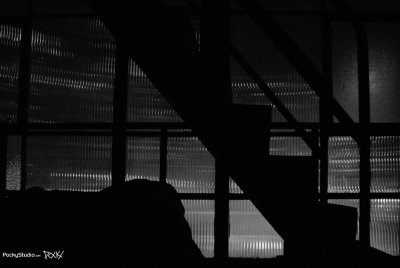 Star Ferry Memory - 104
